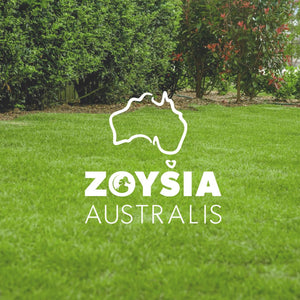 Zoysia Australis