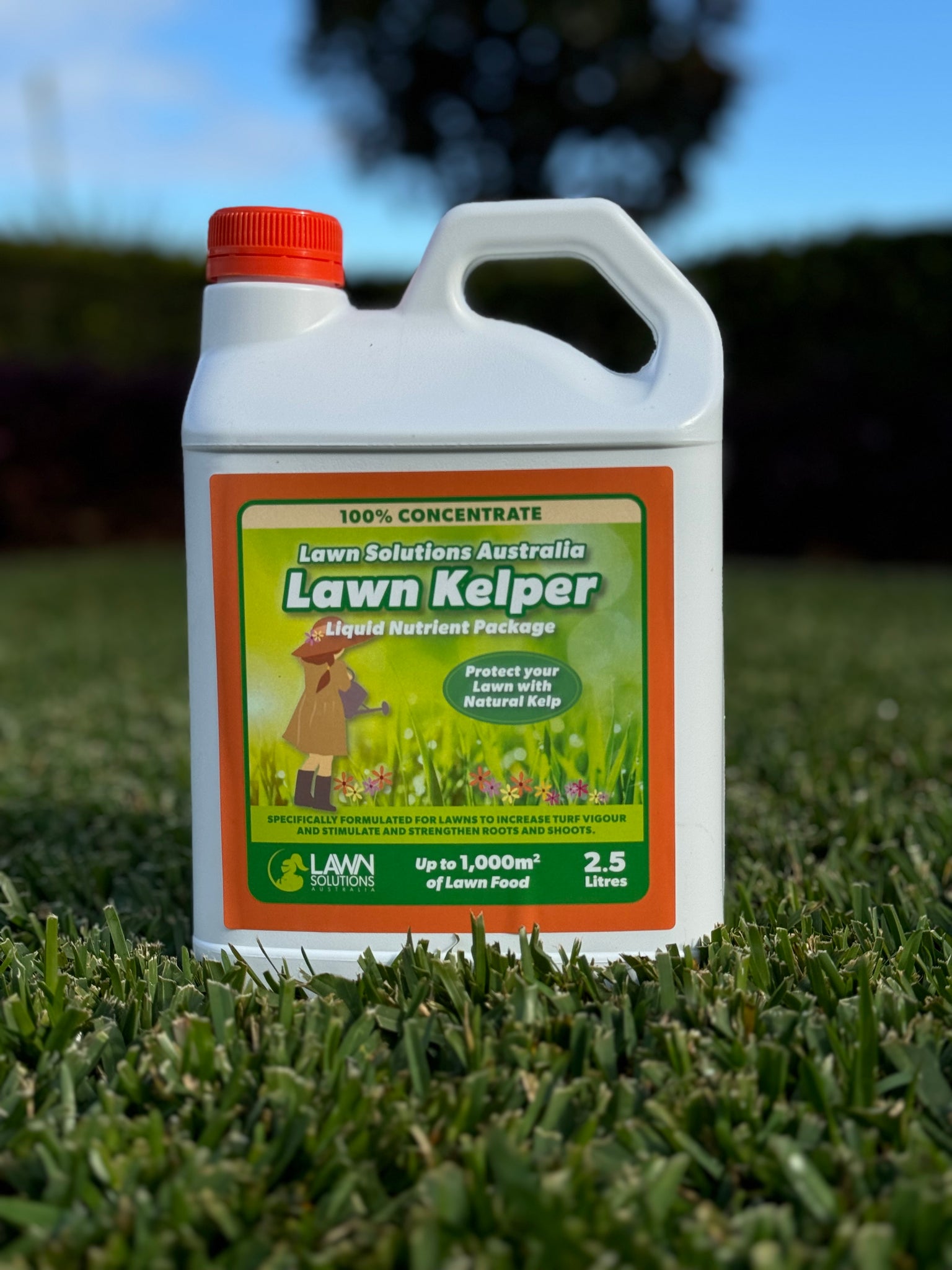 Lawn Kelper - 2lt or 2.5lt