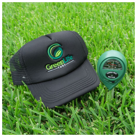 3-Way Soil Meter pH Moisture Light Tester in soil on Sir Walter DNA Certified Grass with cap for size